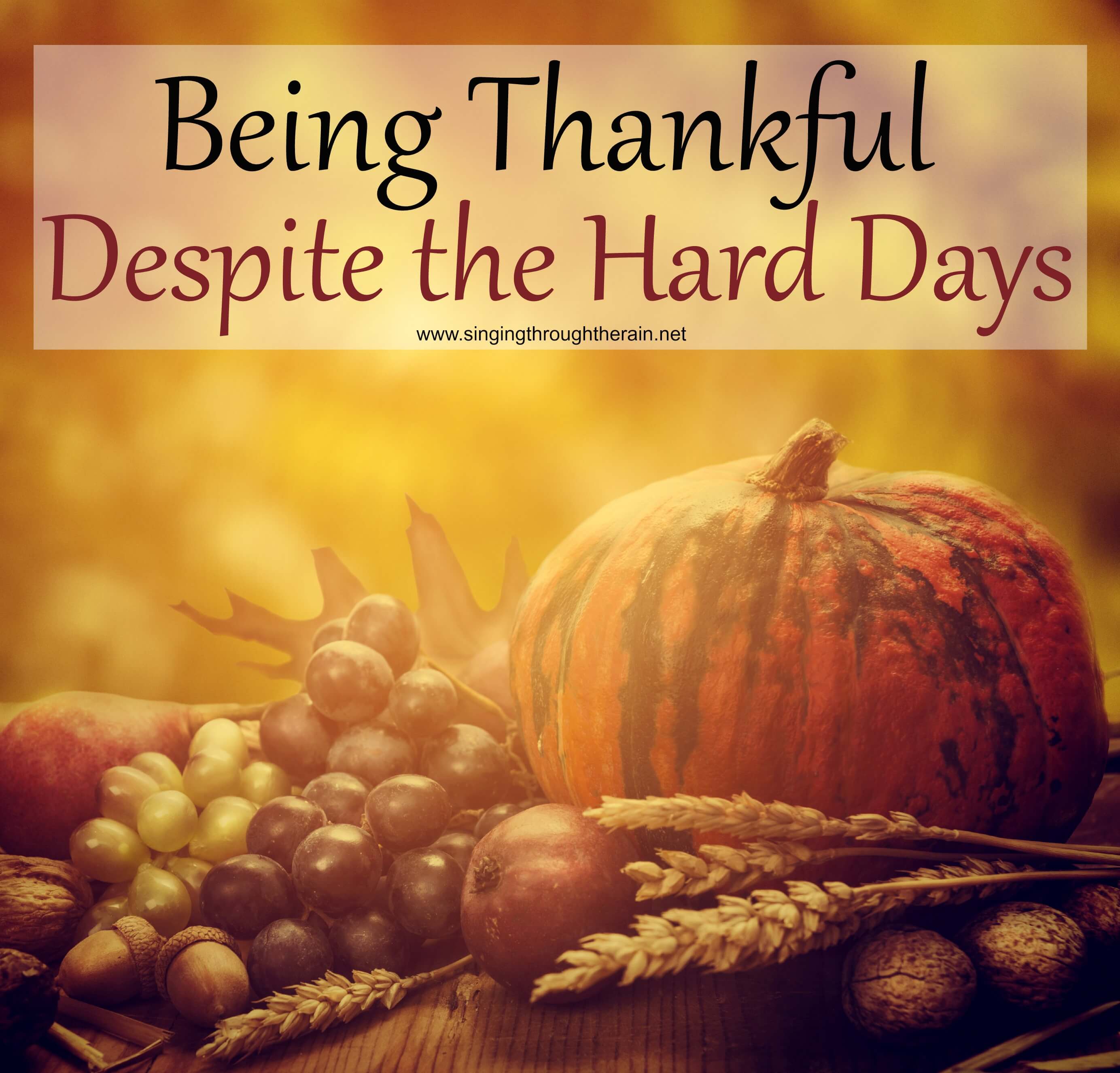 Being Thankful Despite the Hard Days
